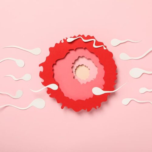 ¿Cómo identificar el sangrado de implantación? Guía para personas de  Guatemala